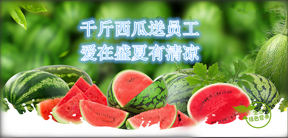 通達(dá)軟件公司： 千斤西瓜送員工，愛在盛夏有清涼